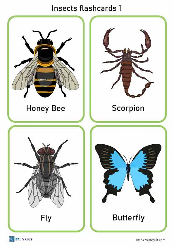 printable pictures of insects
