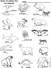 printable pictures of mammals
