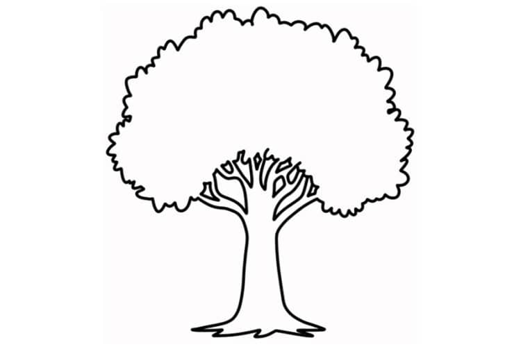 printable pictures of trees