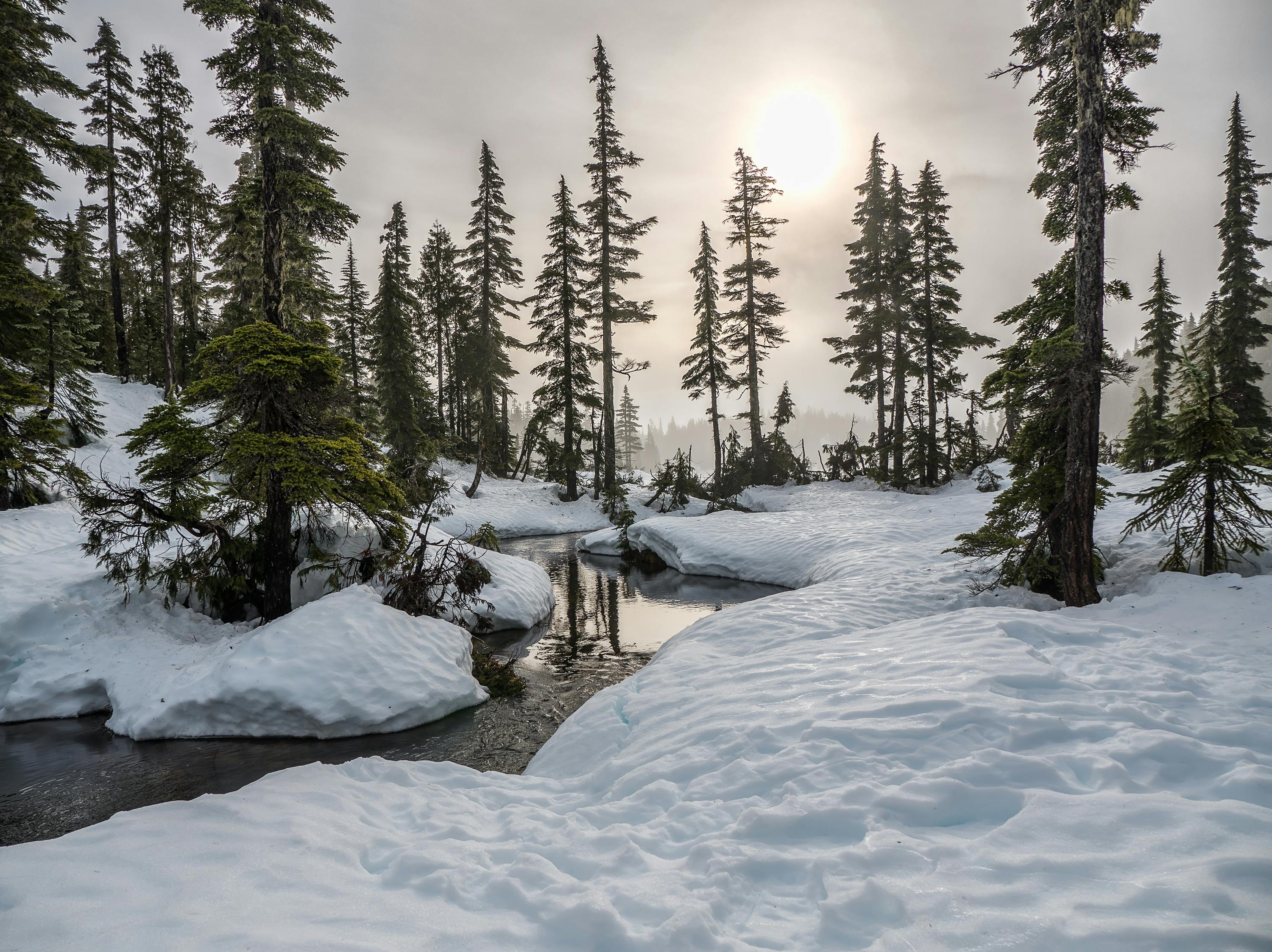 Winter Scenes Photos, Download The BEST Free Winter Scenes Stock ...