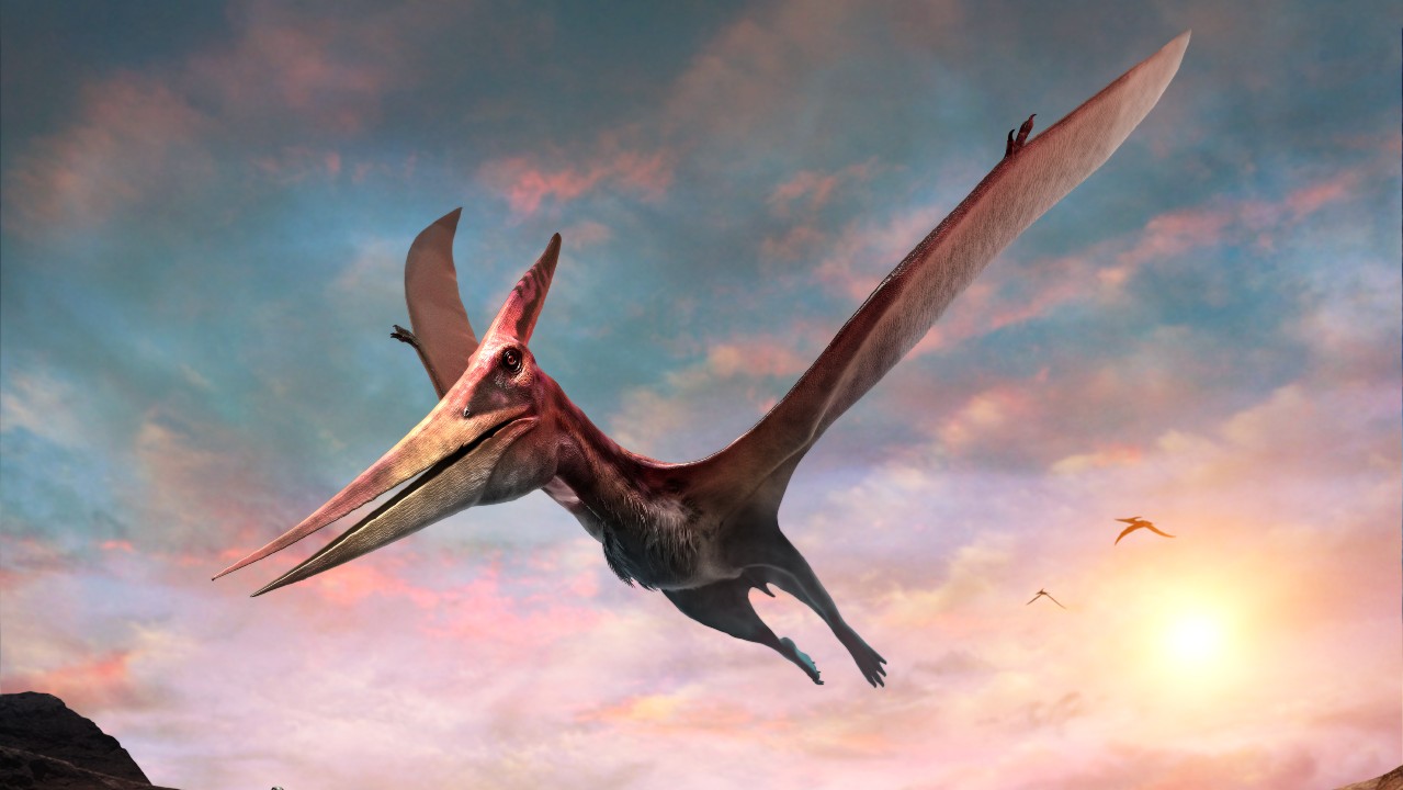 pterodactyl