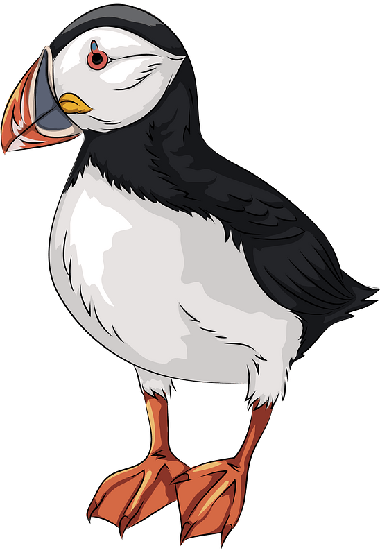 puffin cliparts