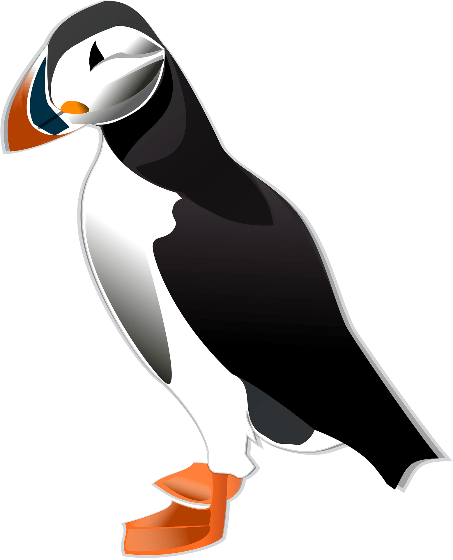 puffin cliparts
