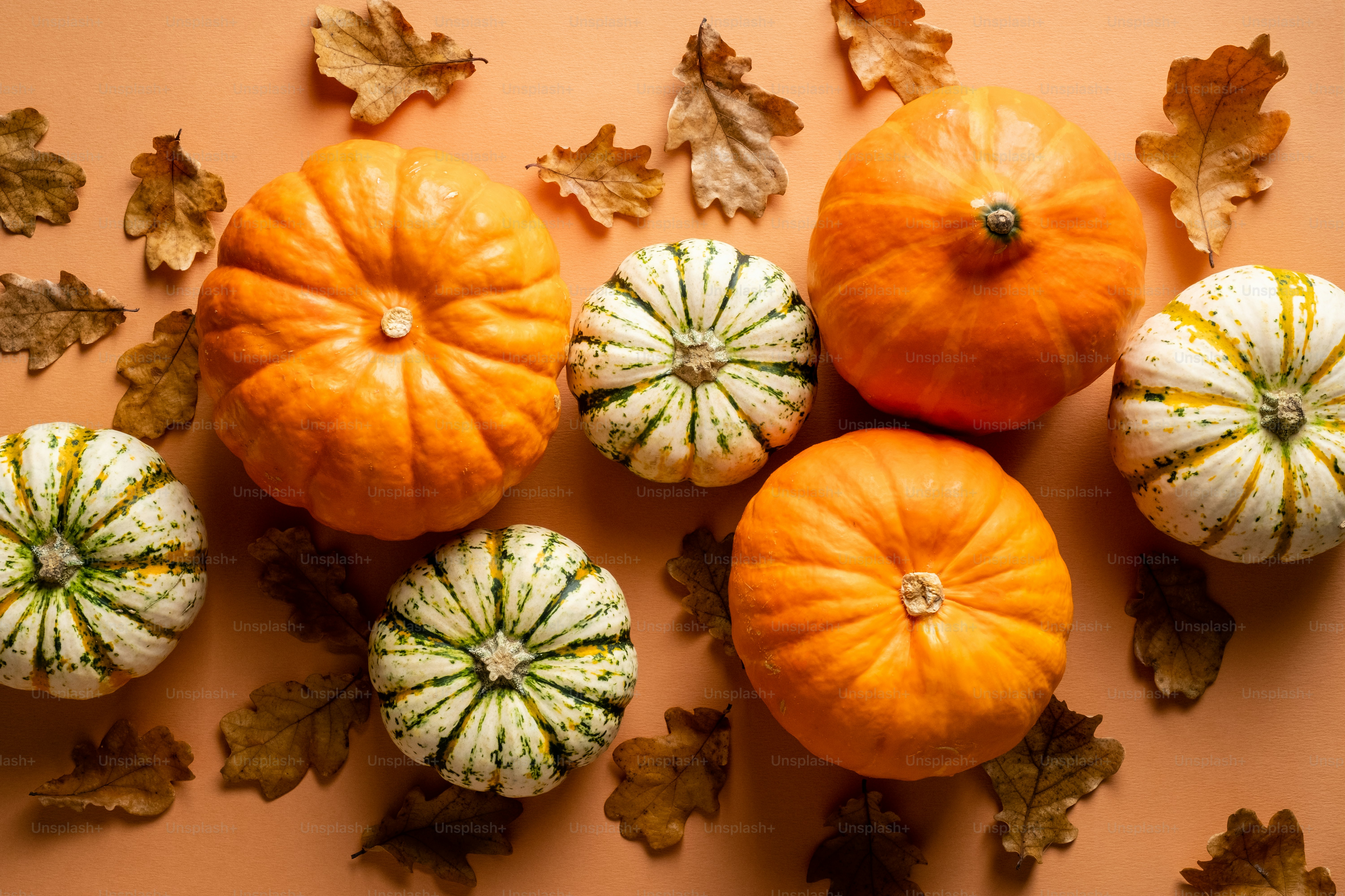 pumpkin photos free