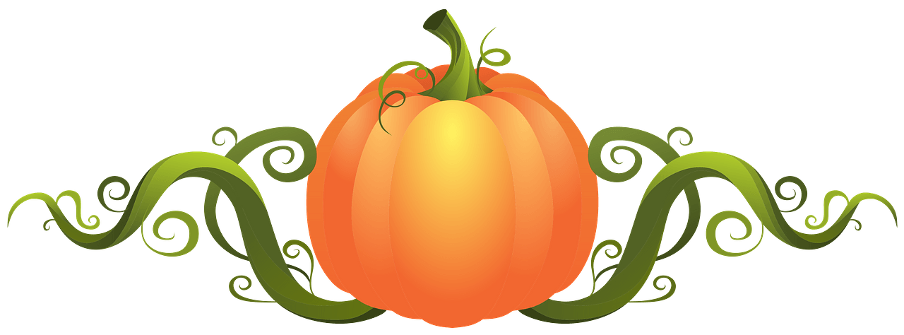 pumpkin vine clipart