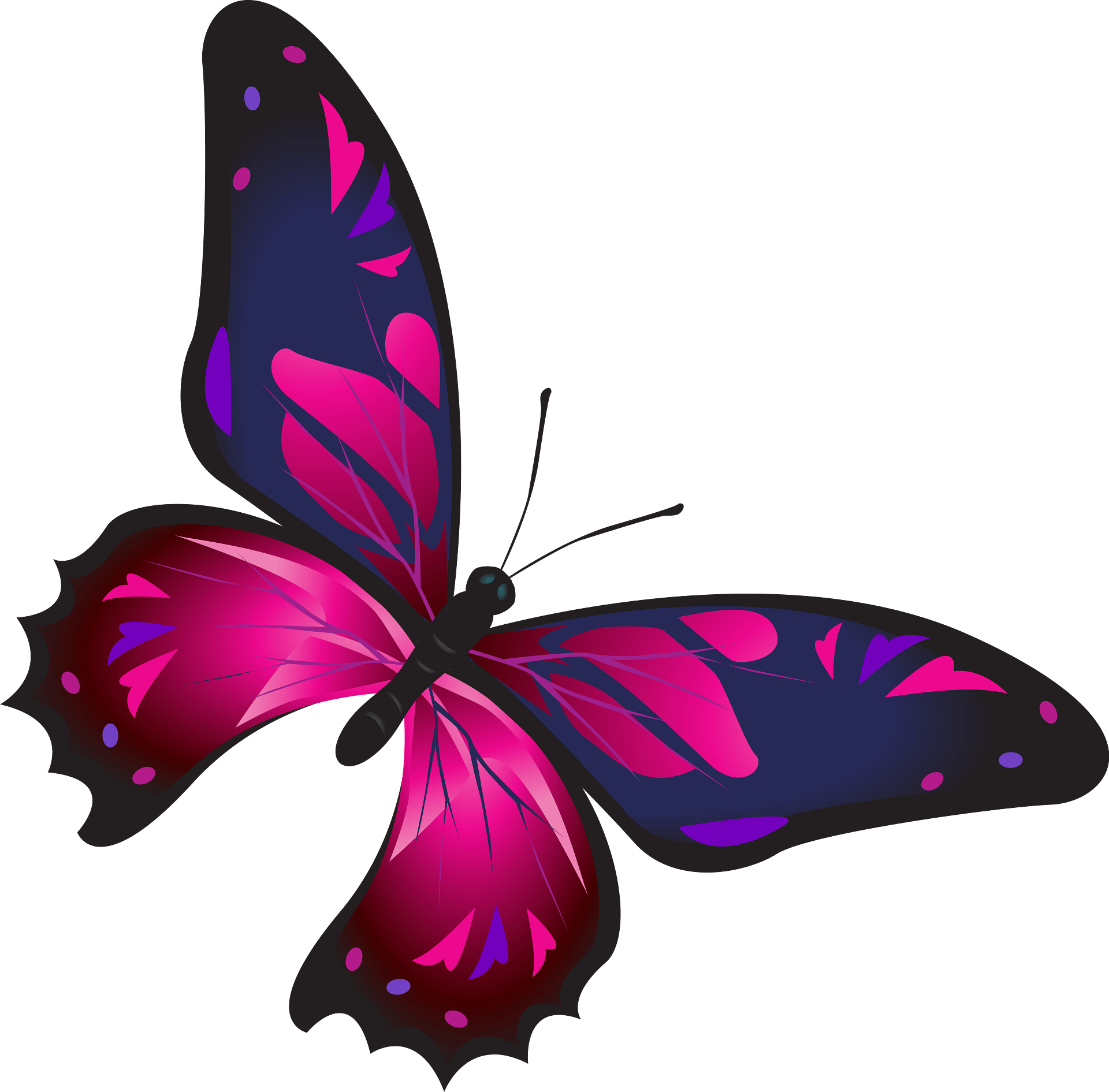 purple butterfly cliparts