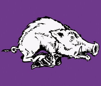 Robinson, Razorbacks defeat Landrum in opener | High School ...