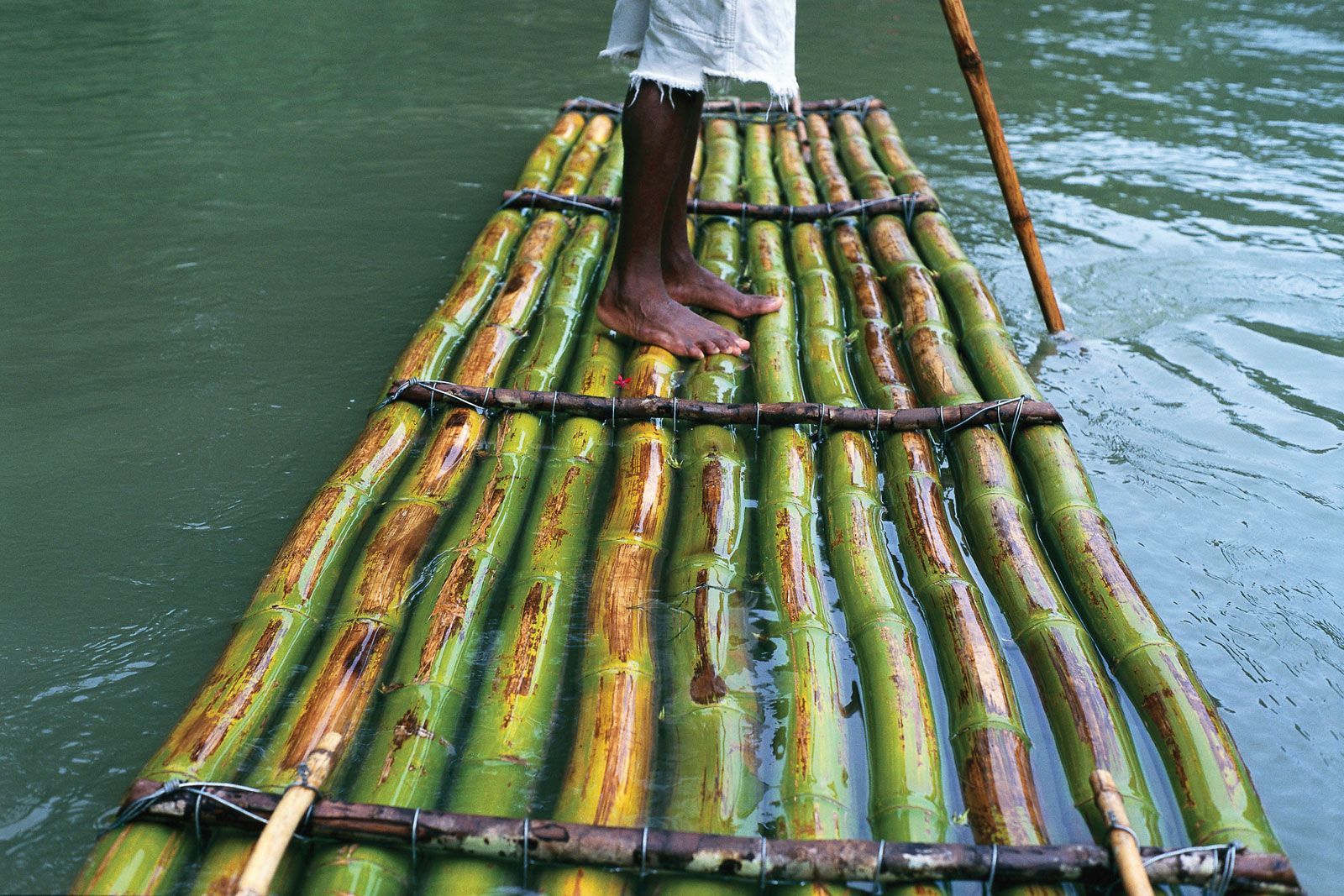Raft | Definition &amp; Facts | Britannica