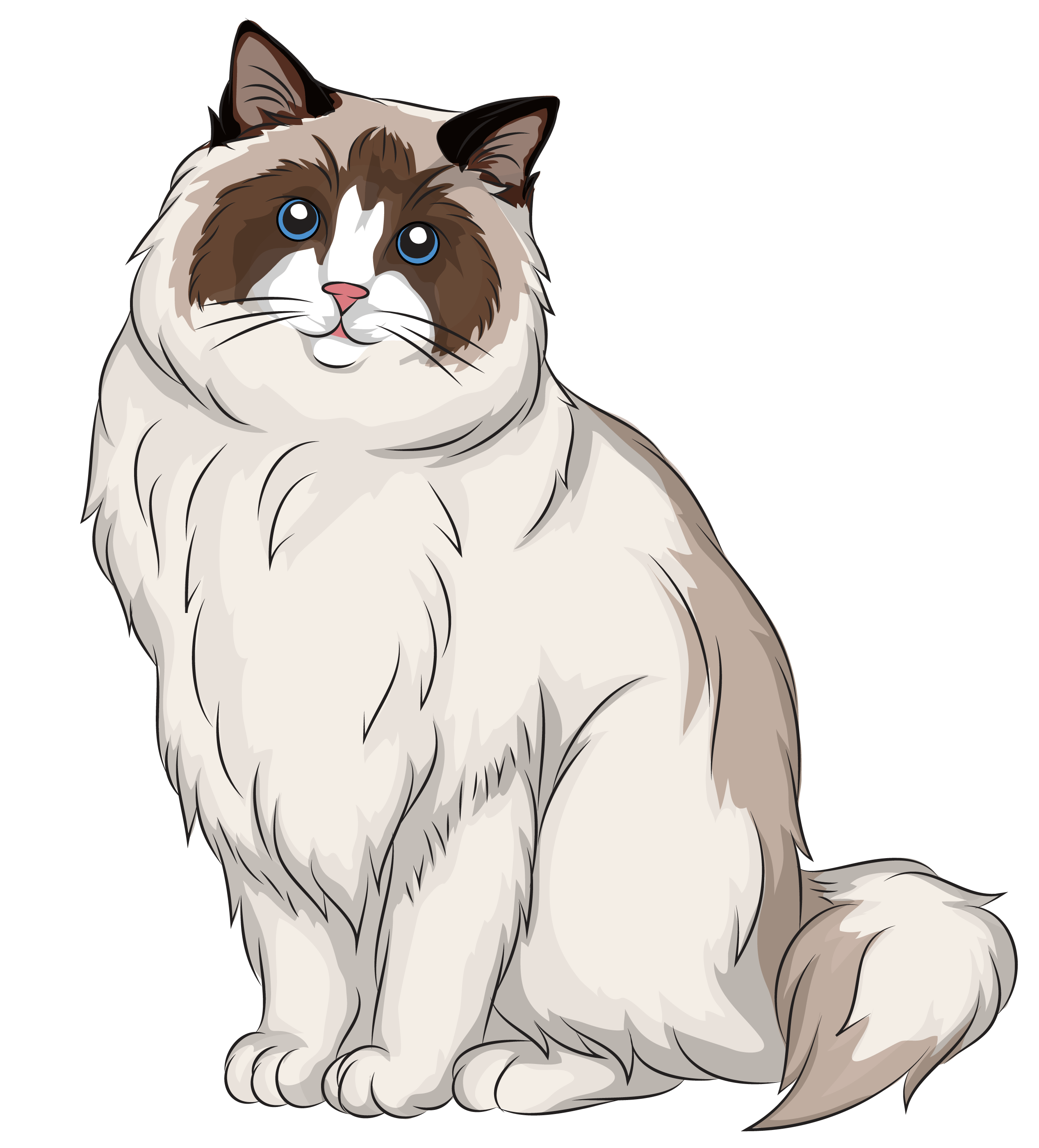 rag doll cliparts