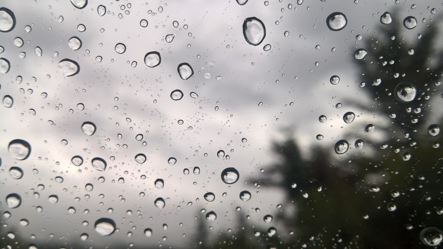 Rain vs. Showers Defined: Whats the difference? | RochesterFirst