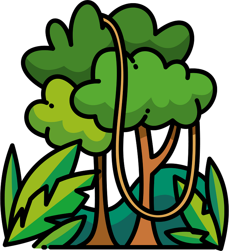 rainforest cliparts
