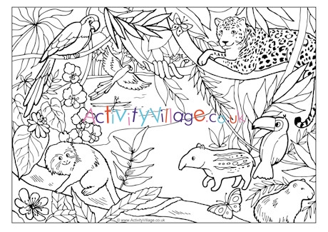 Rainforest Colouring Page
