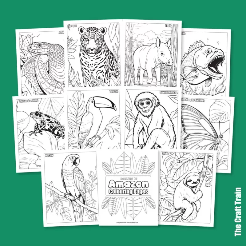 rainforest printable coloring pages