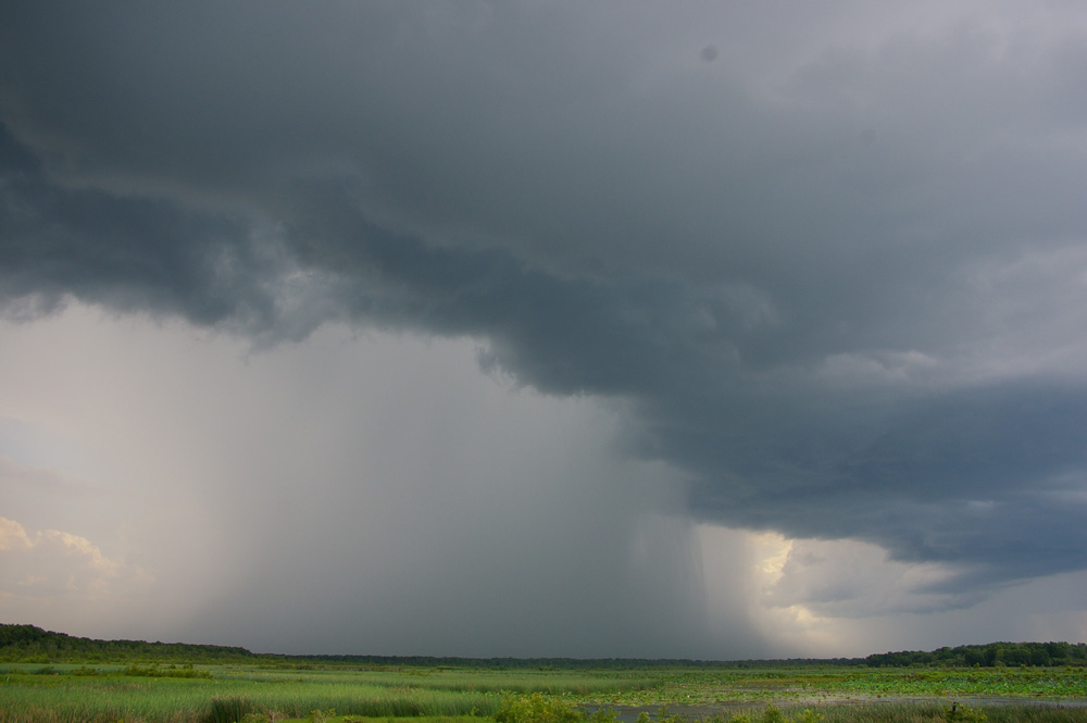 Rainstorm | Weather Wiki | Fandom