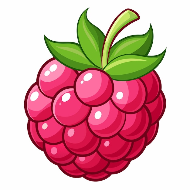 Raspberry Clipart Images - Free Download on clipart library