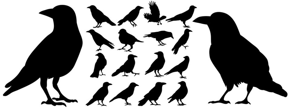 raven silhouette cliparts