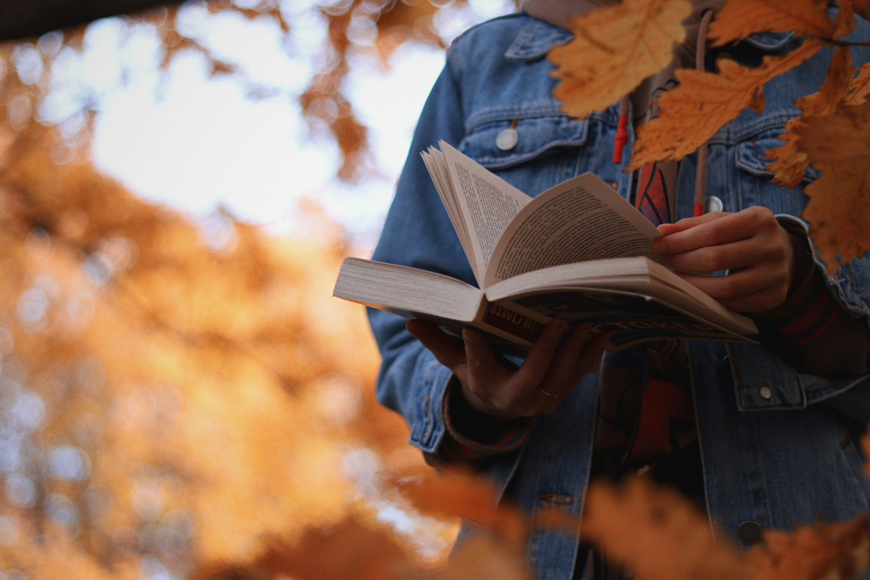 reading books pictures