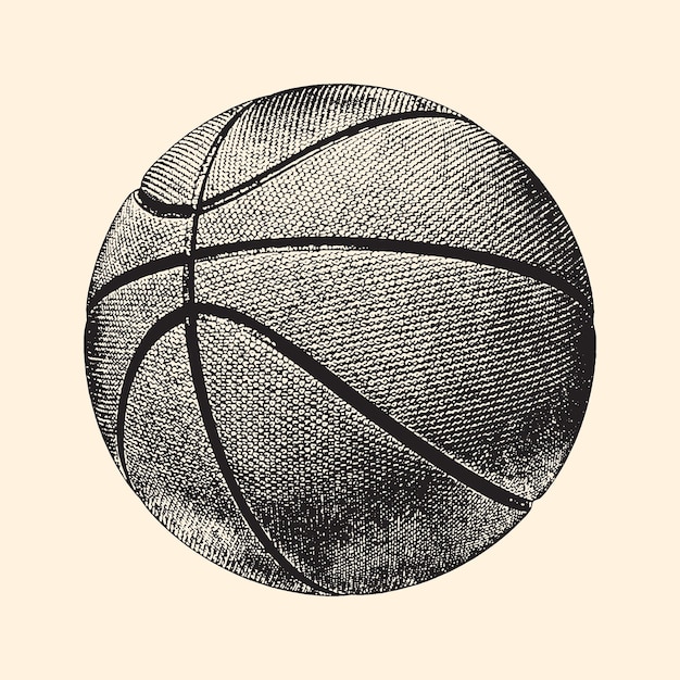 realistic basketball cliparts