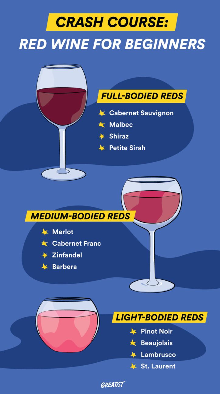 The Different Types of Red Wine: A Beginners Guide