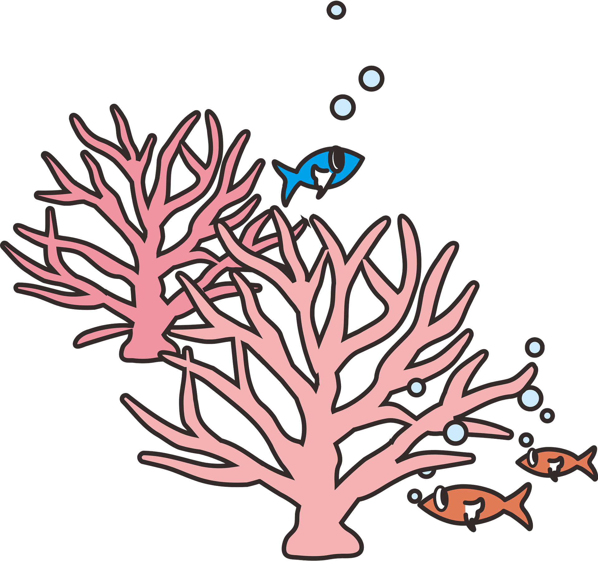 Coral reef - Free vector clipart images on clipart library.com