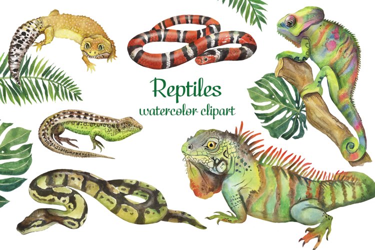 reptiles clipart