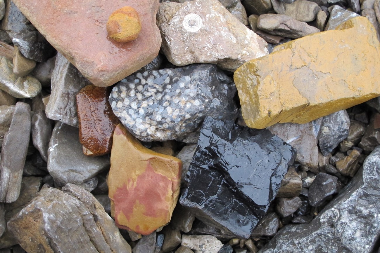 rocks