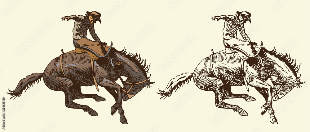 rodeo graphics
