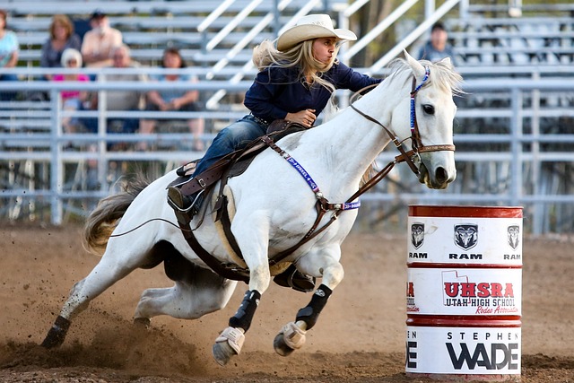 400+ Free Rodeo &amp; Cowboy Images - Pixabay