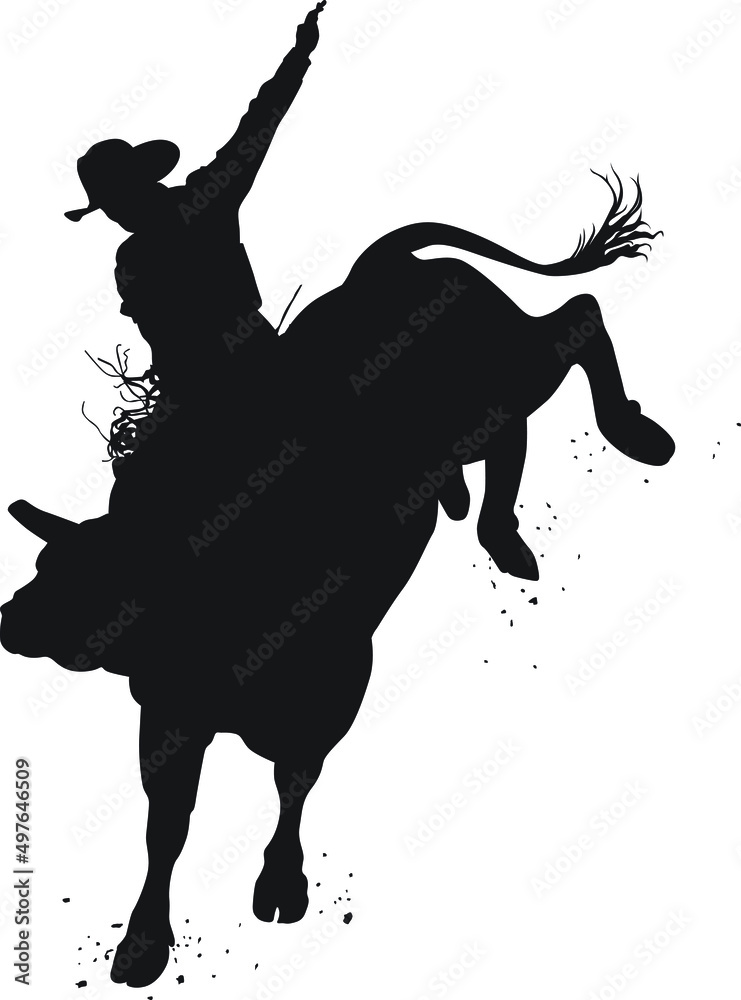 rodeo vectors