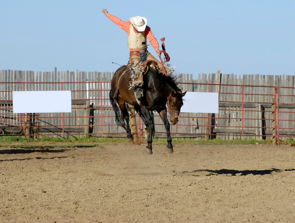 Rodeo: Tierquälerei beim Rodeo, Bullenreiten &amp; Co.
