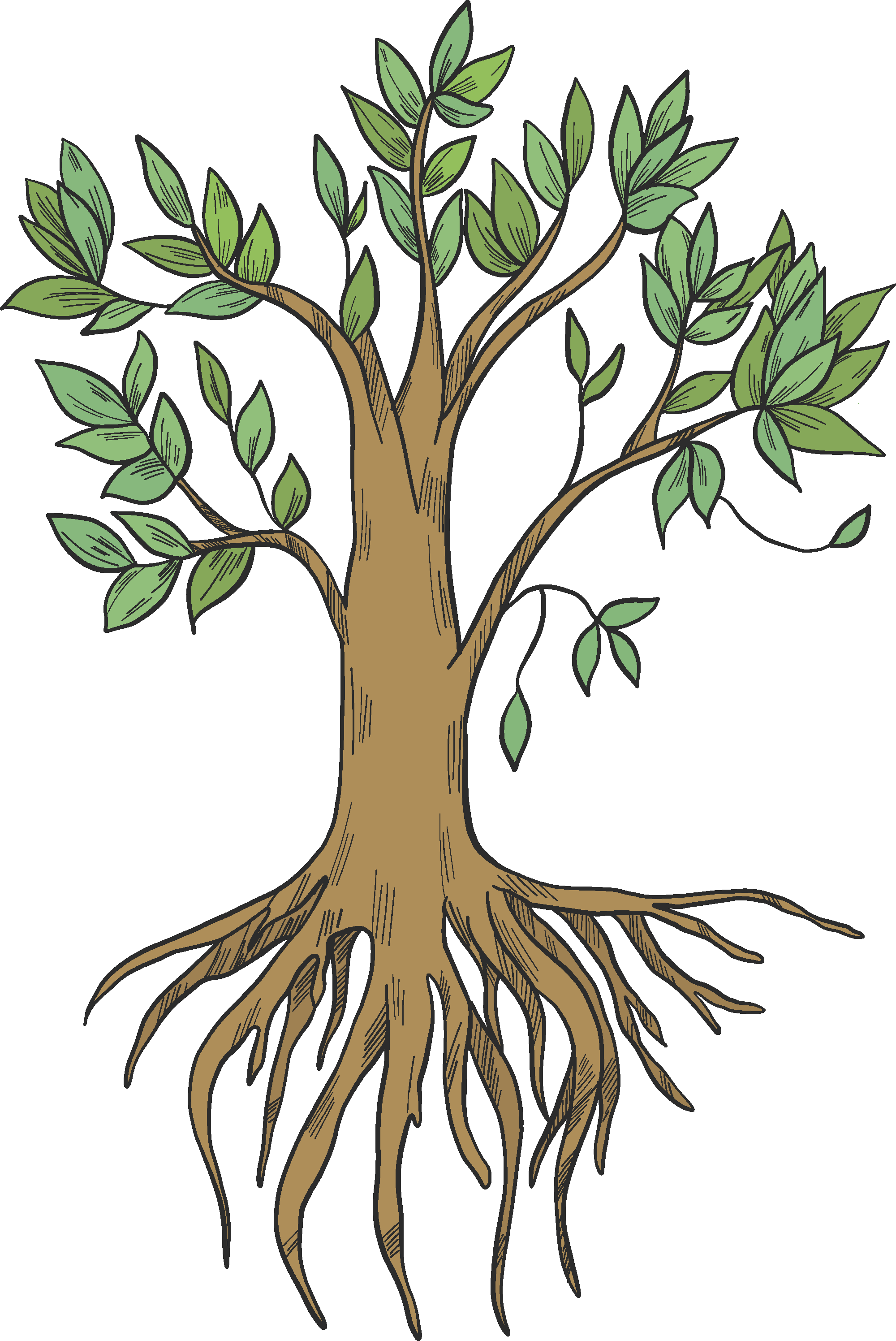 roots cliparts
