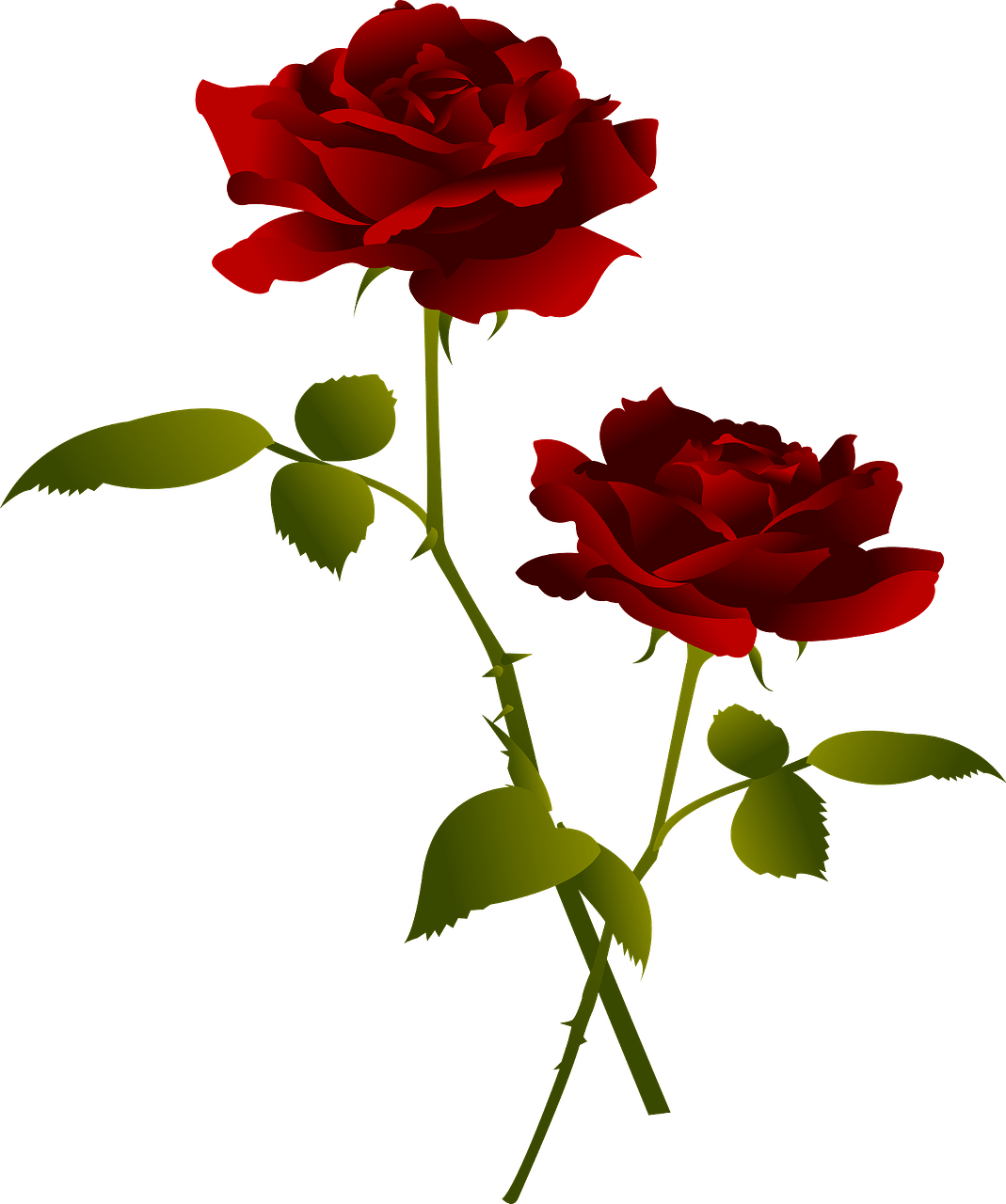 Red rose flower - Free vector clipart images on clipart library.com