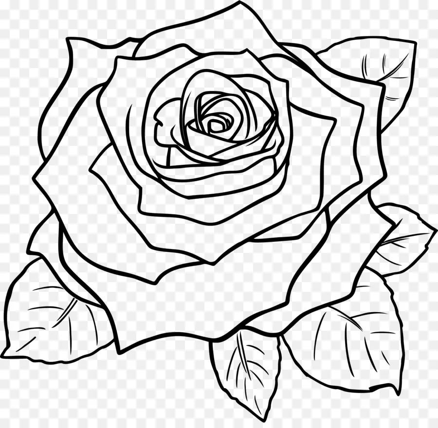 rose black and white drawing