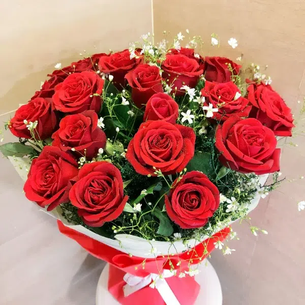 rose images