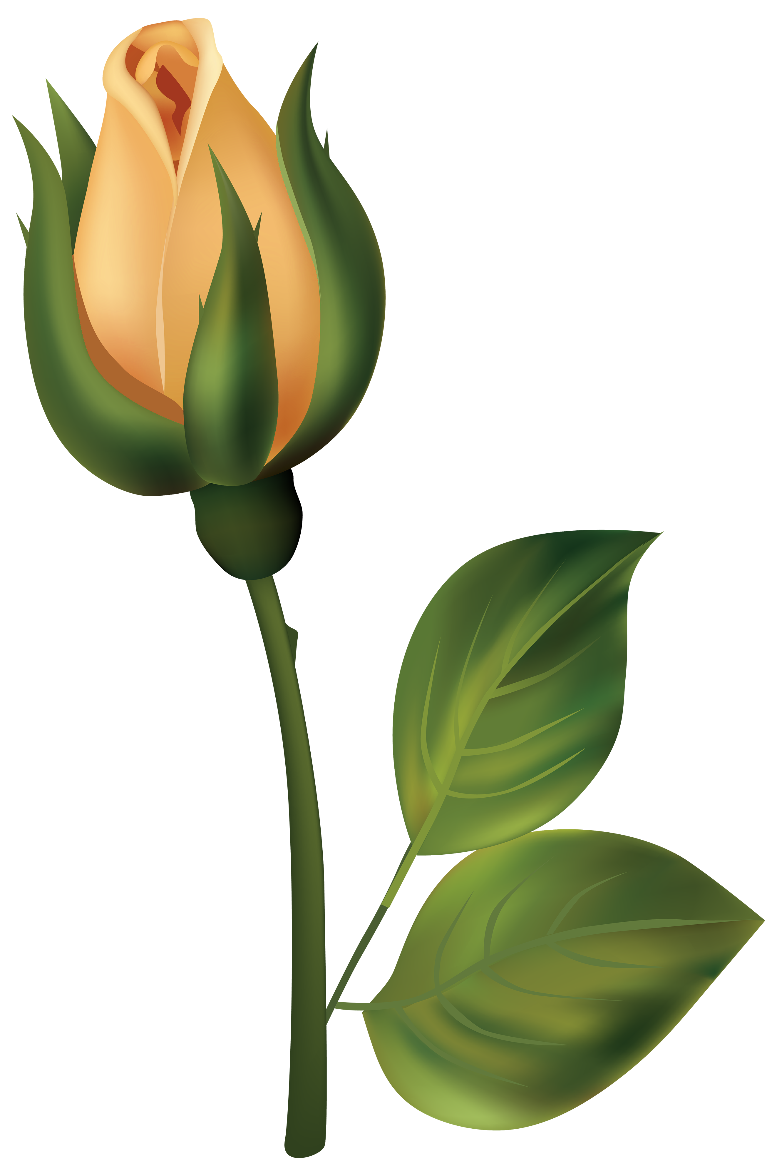 Yellow Rose Bud PNG Clipart - Best WEB Clipart