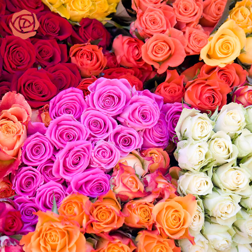 roses
