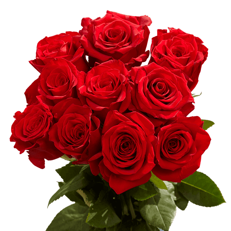 Walmarts Real Long Bulk Freedom Red Rose Bouquet - 50 Stems ...