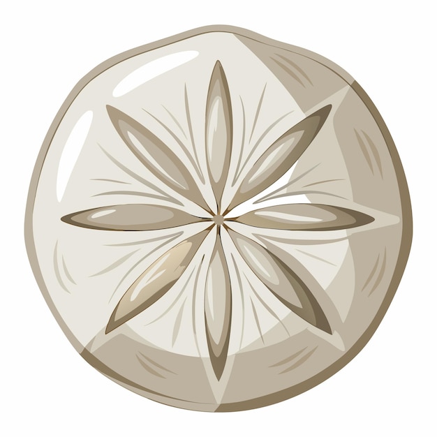 sand dollar clipart