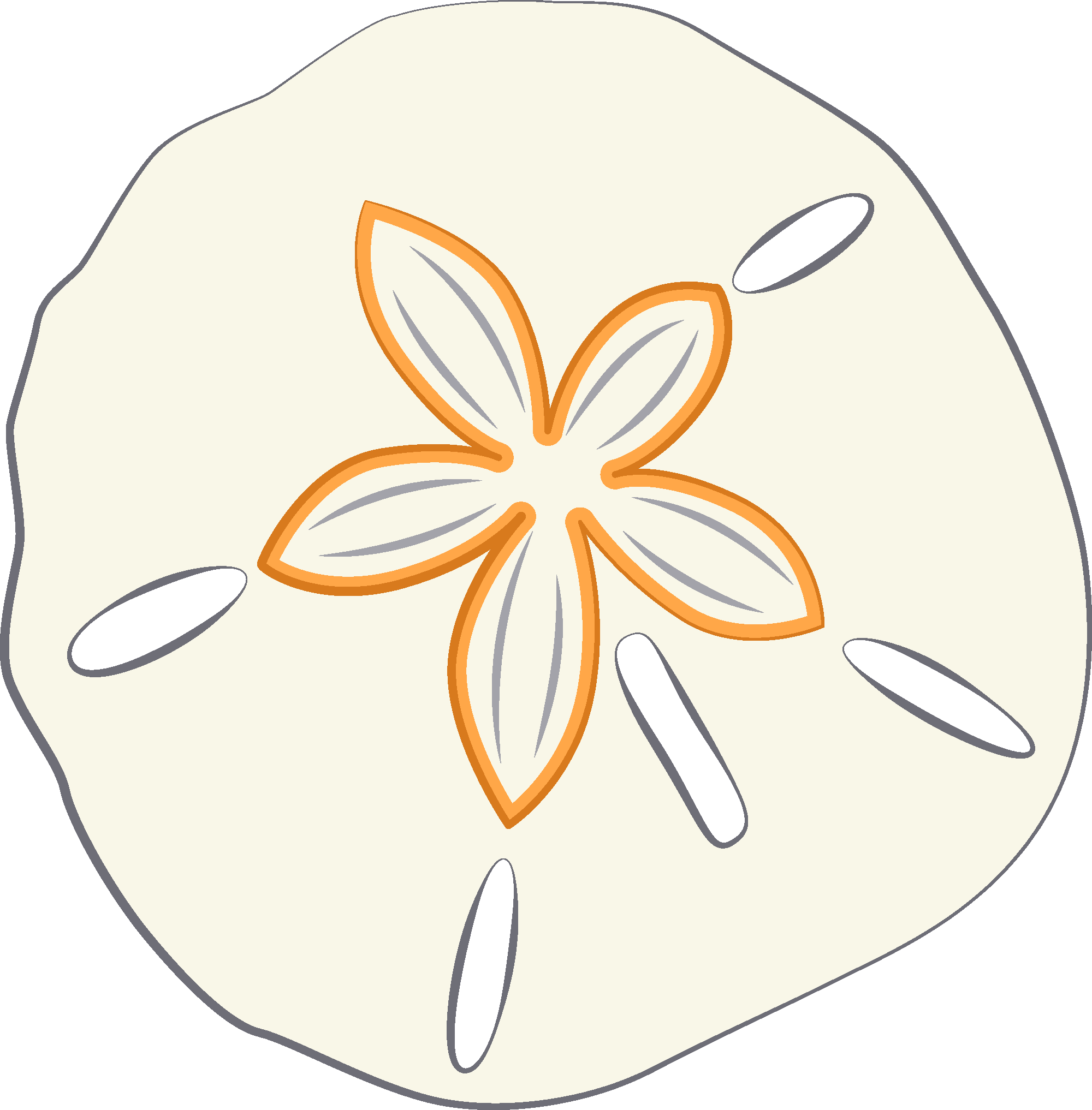 sand dollar clipart