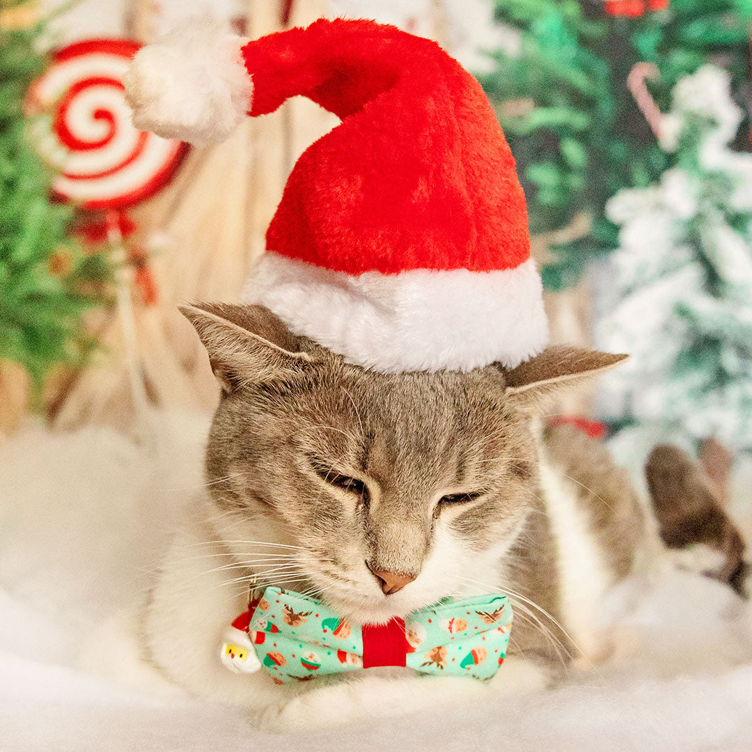 Cat Santa Hat - Christmas Pet Santa Hat | Holiday Photo Prop | X ...