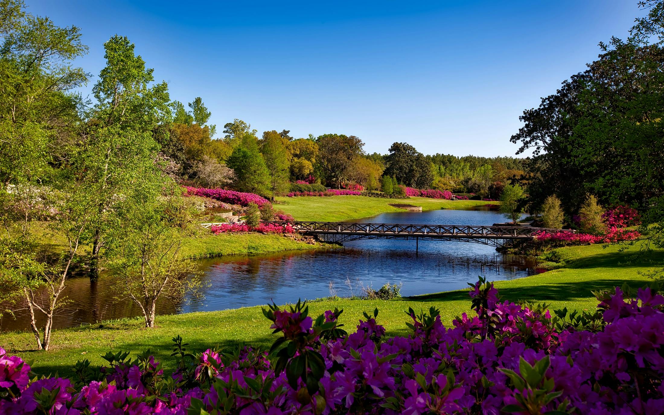 Scenic Photos, Download The BEST Free Scenic Stock Photos &amp; HD Images