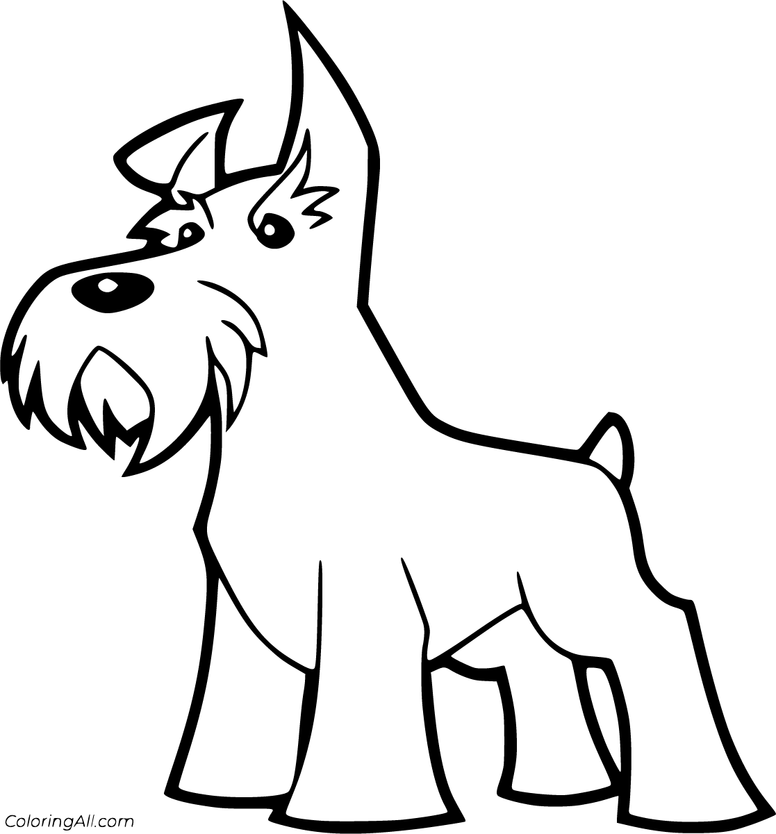 schnauzer coloring pages