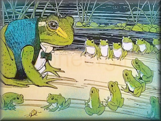 Frogs at School