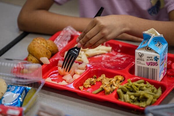 school lunch pictures