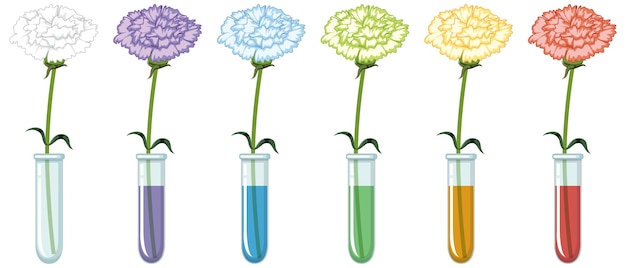 Premium Vector | Colour changing flower science experiment