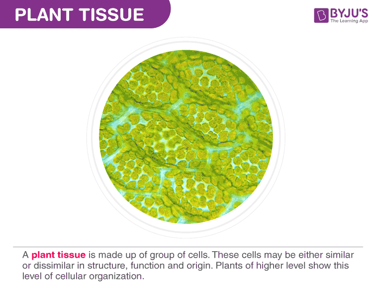 science tissues cliparts