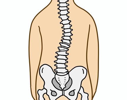 scoliosis cliparts