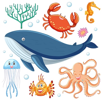 Sea Animals Images - Free Download on clipart library