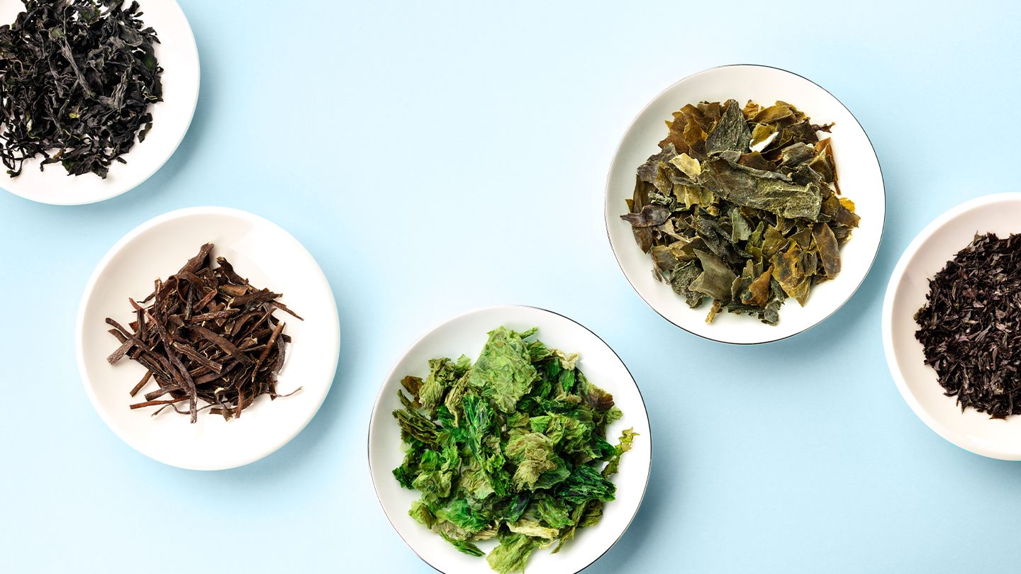 Sea Greens 101: Types, Benefits, Where to Buy Them, and More