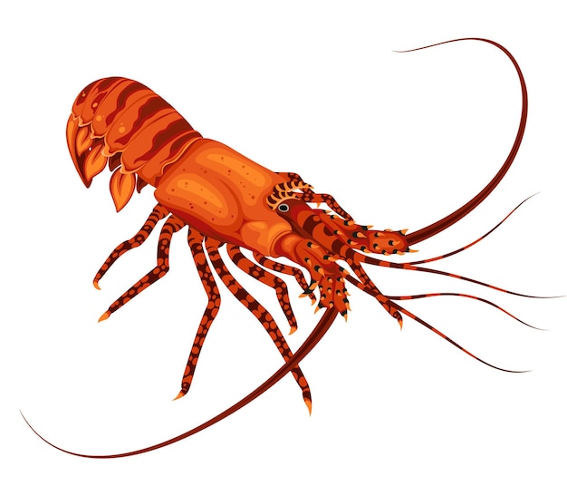 sea lobster cliparts